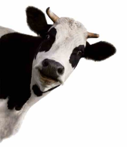 Certified Humane Raised and Handled Program